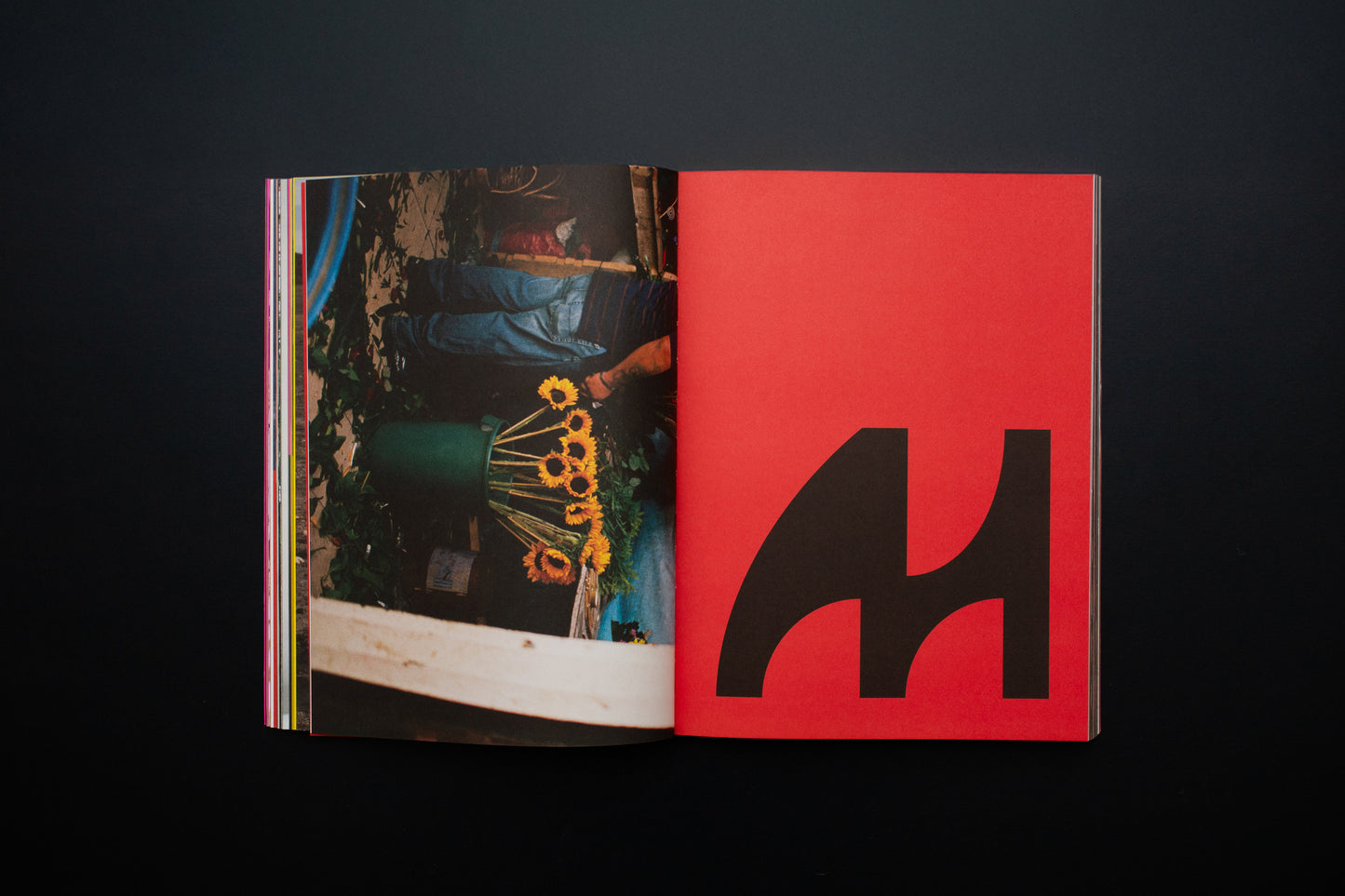 TACOS MAGAZINE Nº1 'AMOR'
