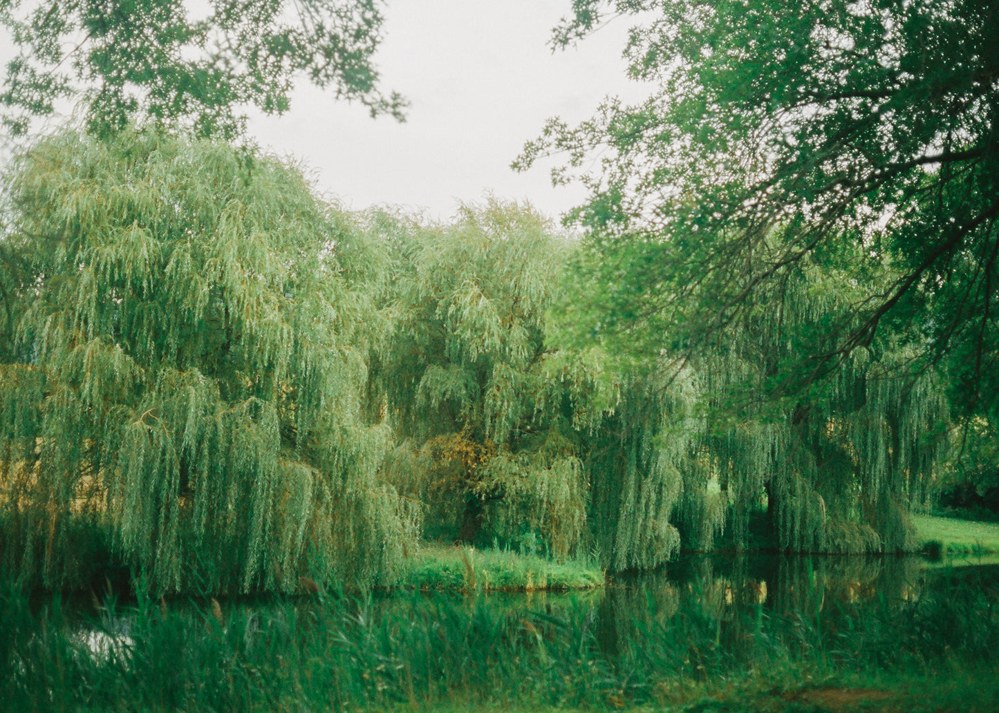 Storm King