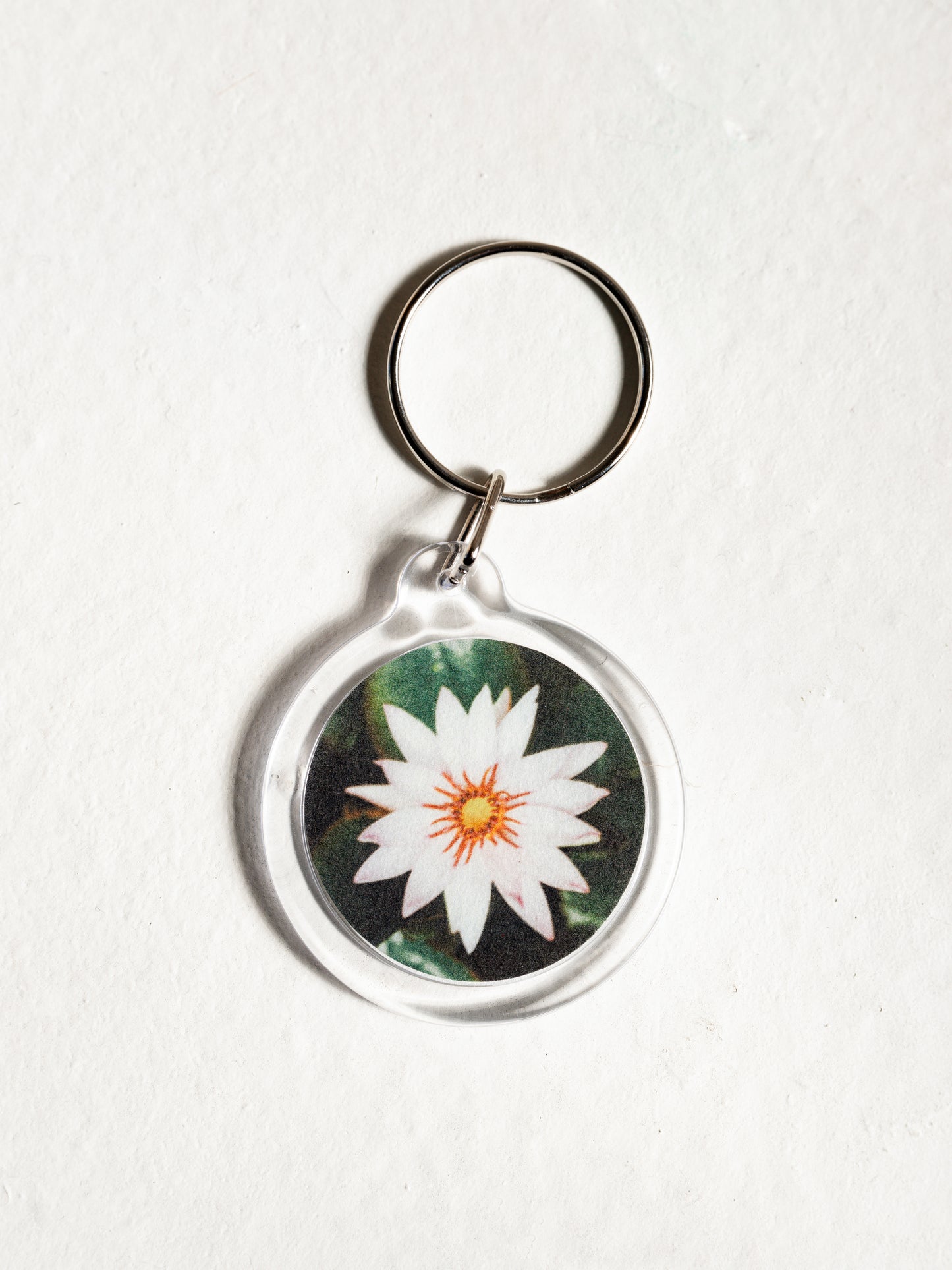 Bundles ¨Souvenirs ̈