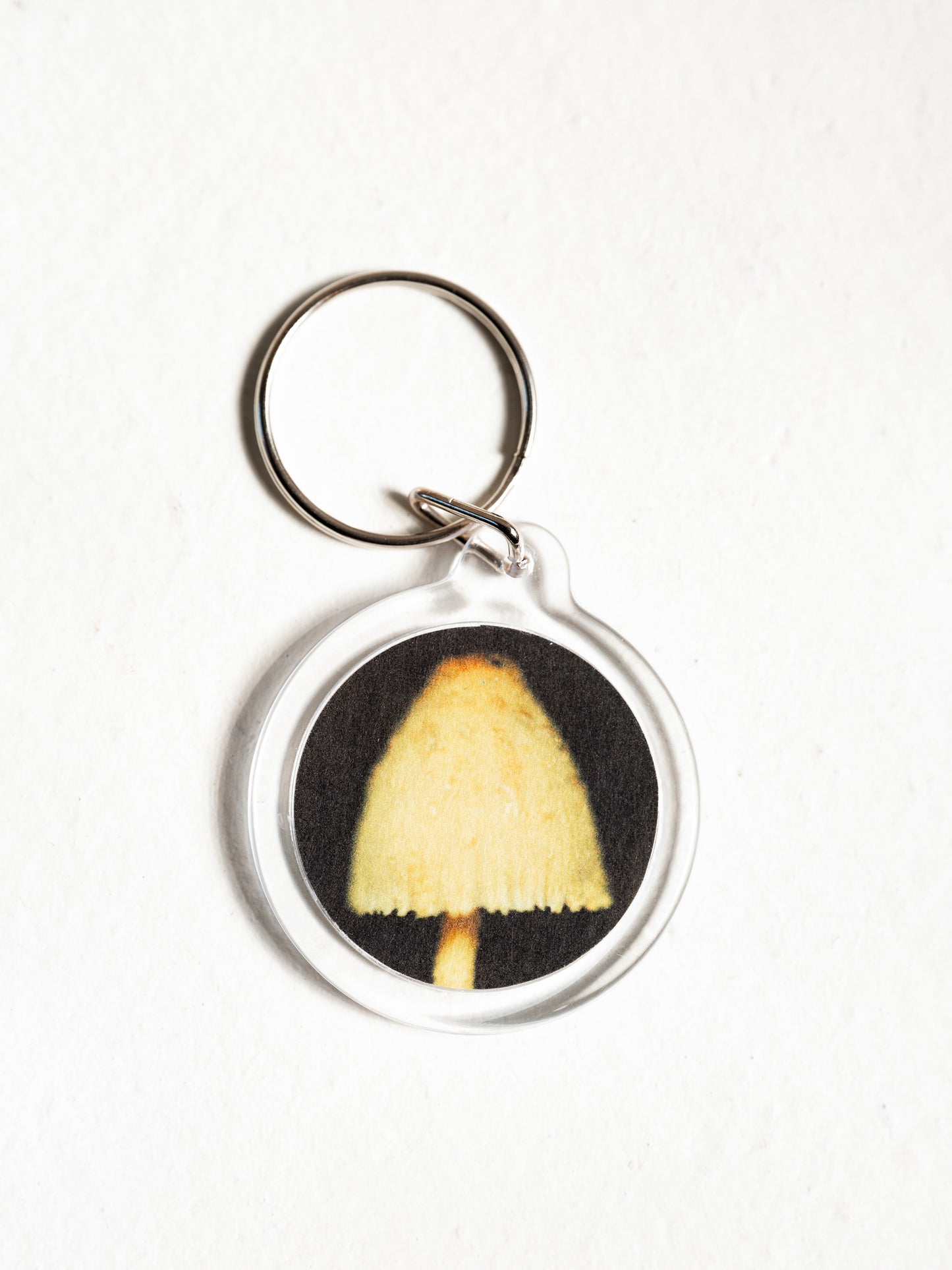 Bundles ¨Souvenirs ̈