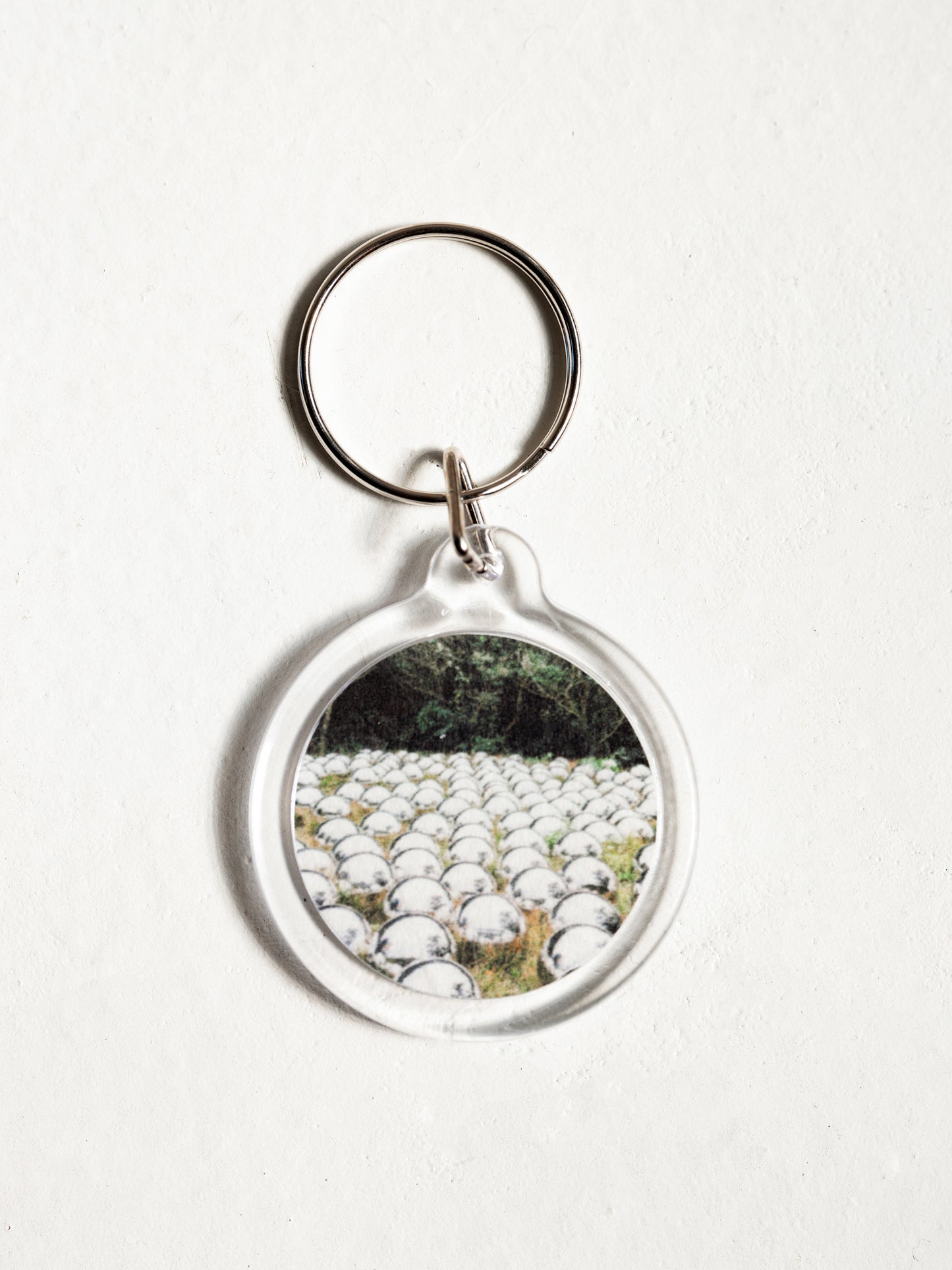 Bundles ¨Souvenirs ̈