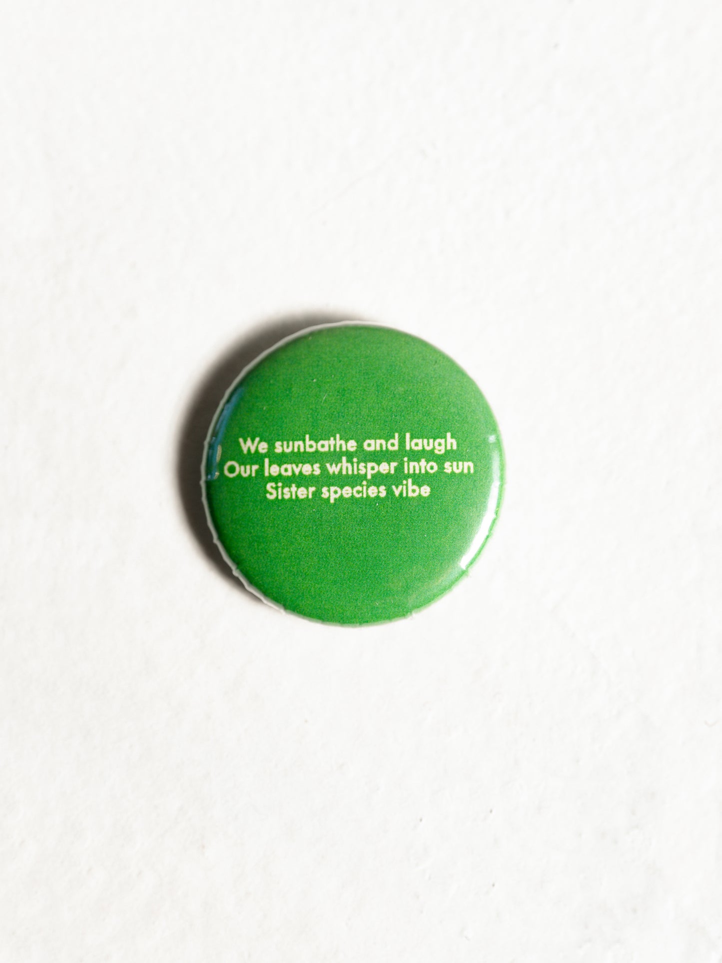 Bundles ¨Souvenirs ̈