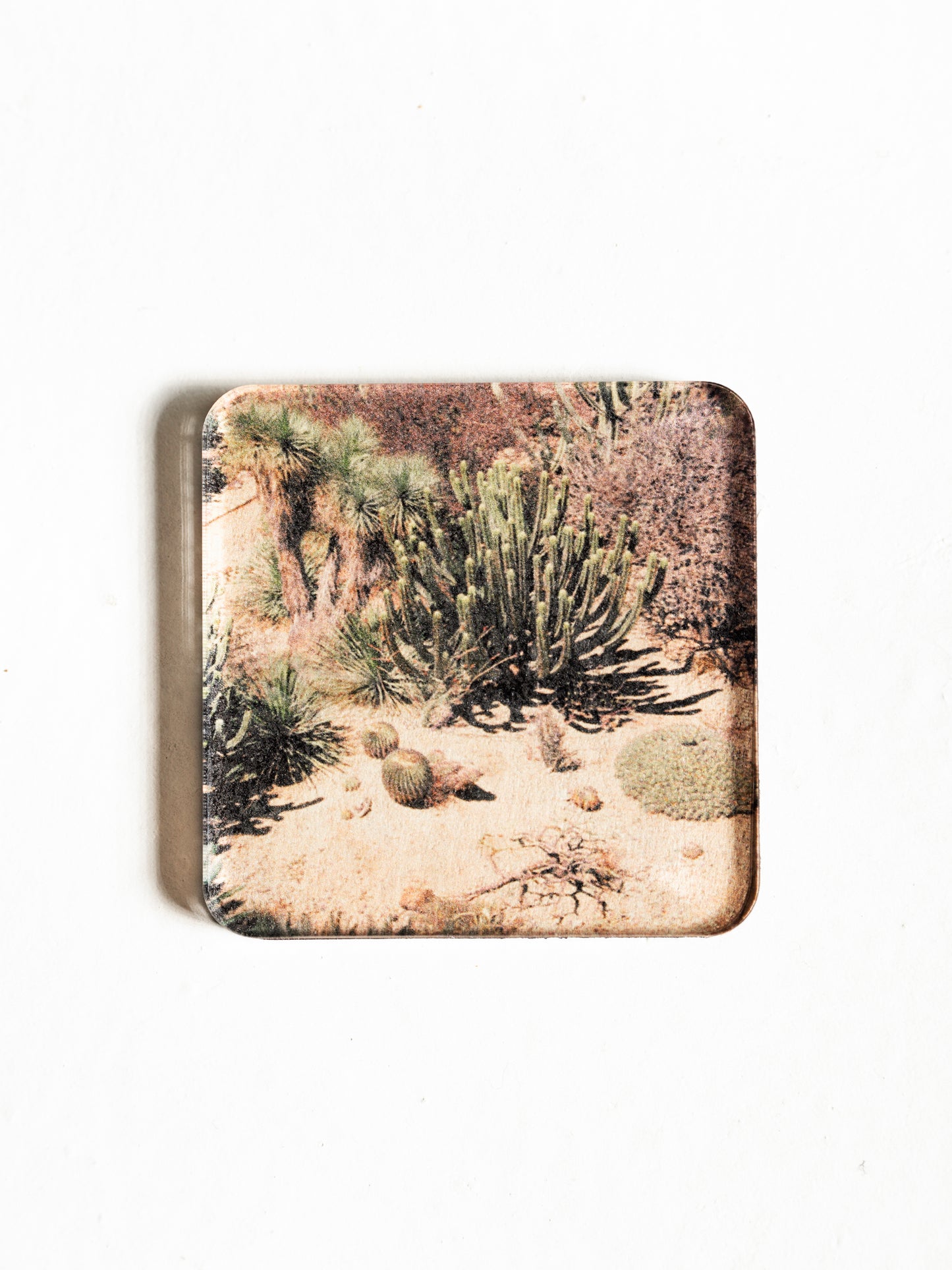 Bundles ¨Souvenirs ̈