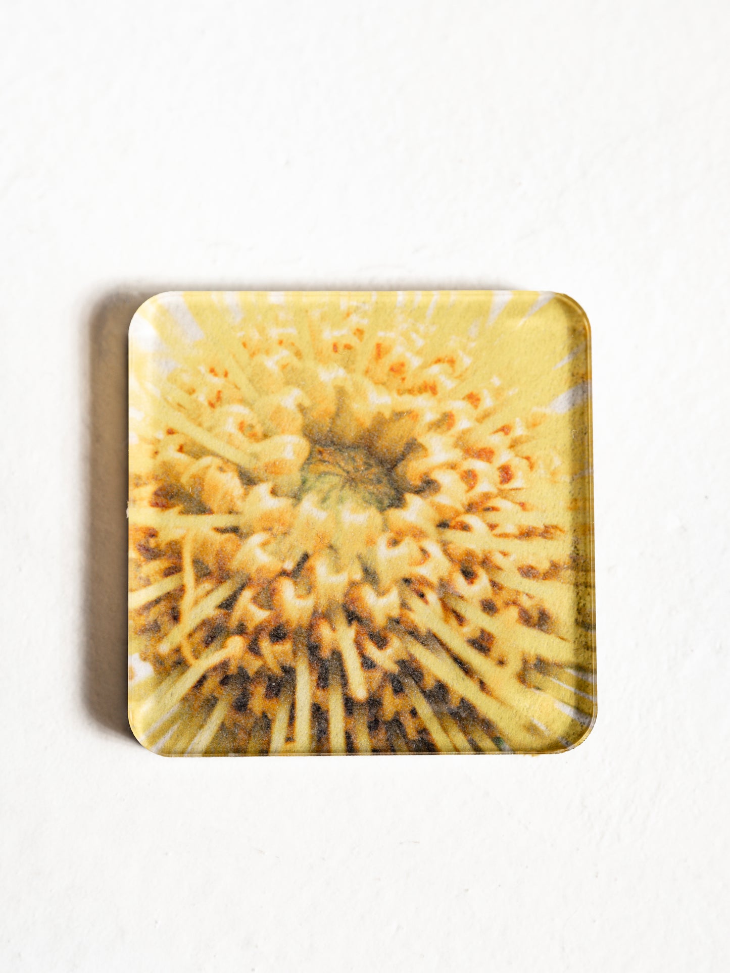 Bundles ¨Souvenirs ̈