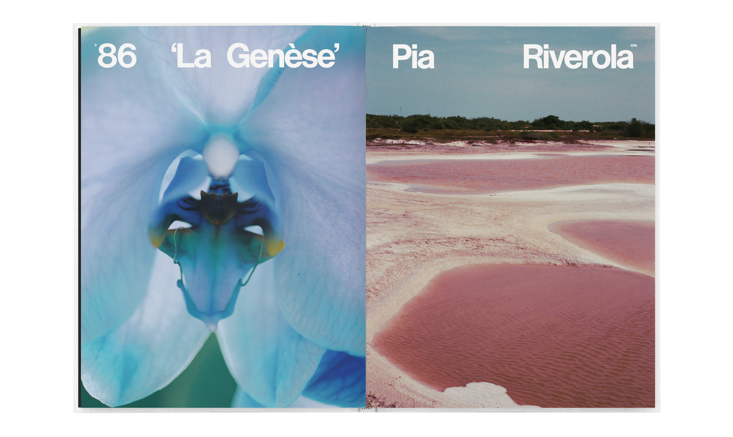 P Nº10 (Special Edition) “FREEDOM” Isabella Carr x Wissa