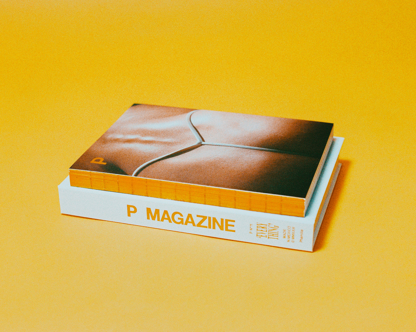 P Nº11 “EVERYTHING” A • Cesca & Paula by Ambrojo