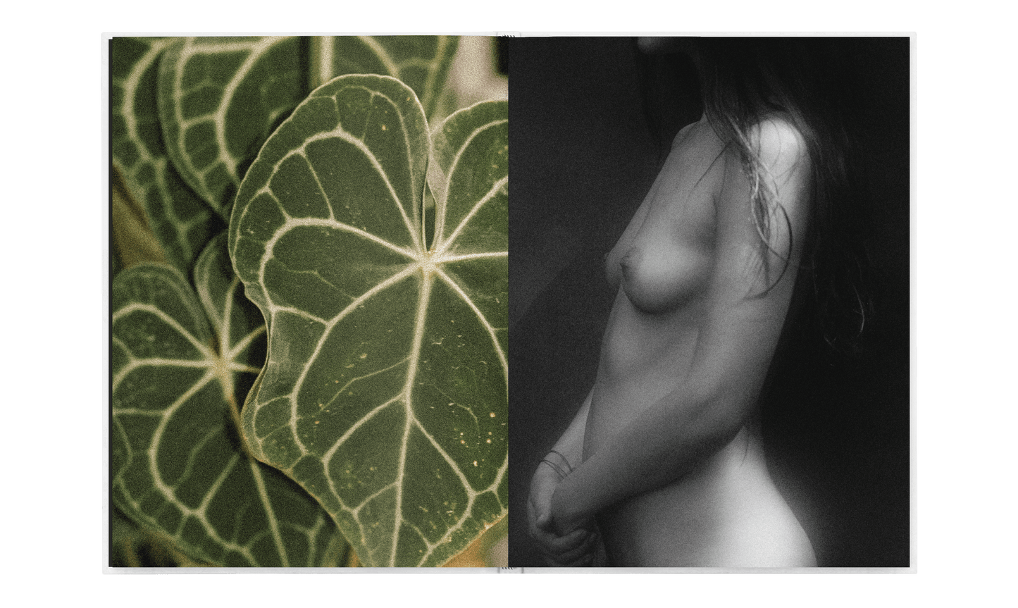 P Nº8 “POETIC” B • Inka by Yexley