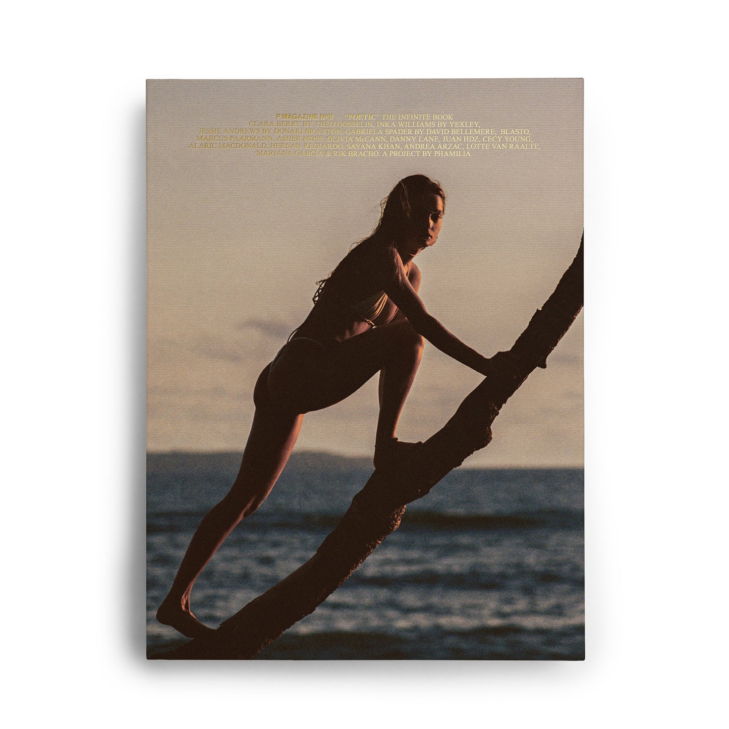 P Nº8 “POETIC” B • Inka by Yexley